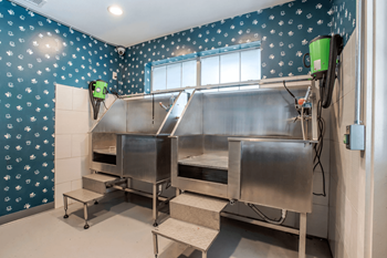 A stainless steel food preparation area with a green fan